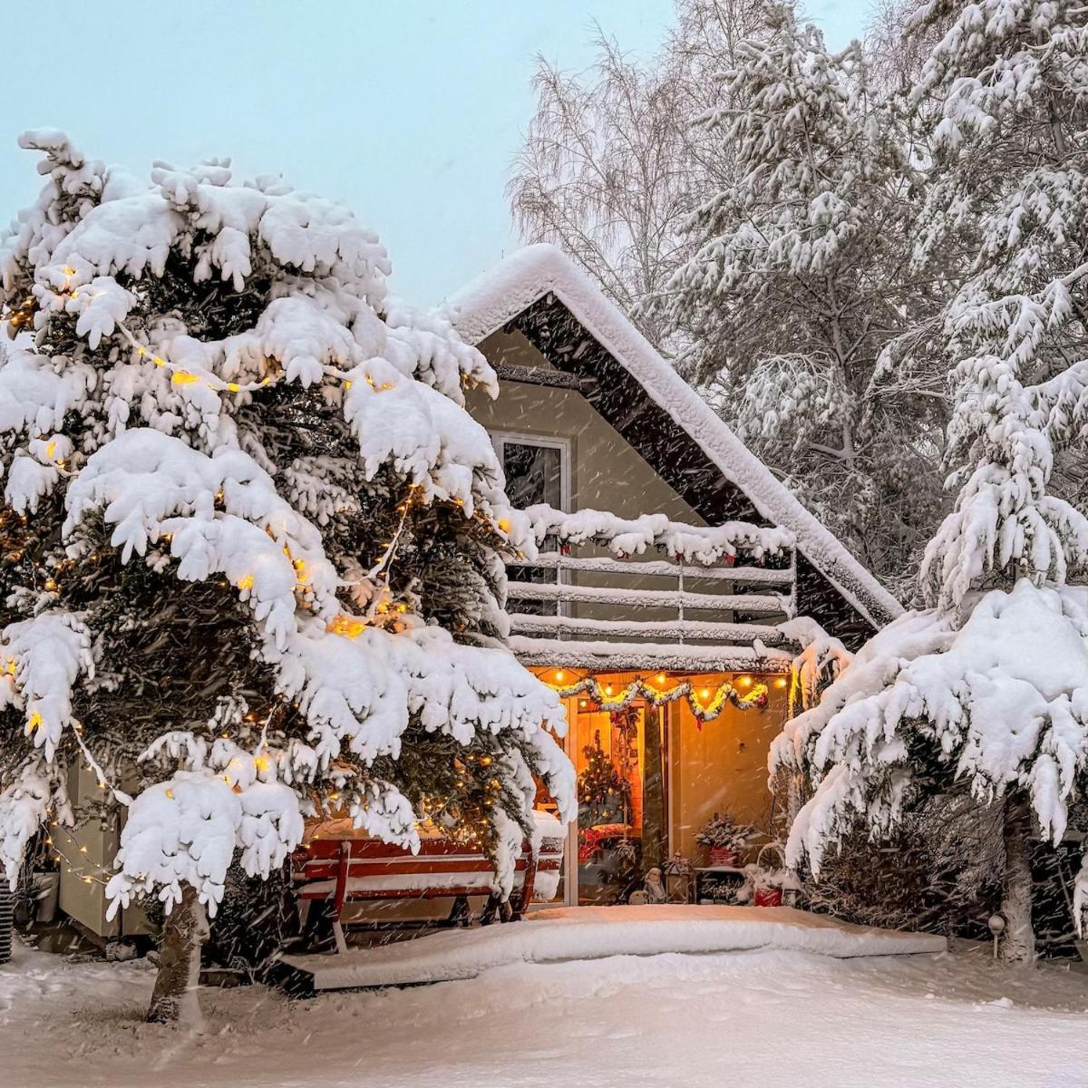 Rajska Cisza - Caloroczny Prywatny Domek W Lesie Nad Jeziorem - Sauna I Balia Krąg Εξωτερικό φωτογραφία